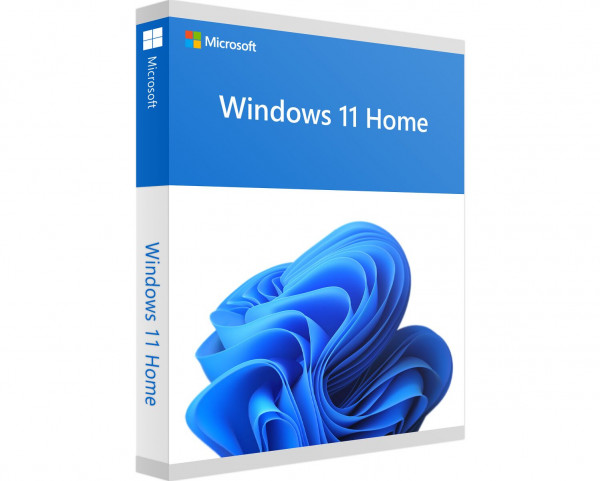 Windows 11